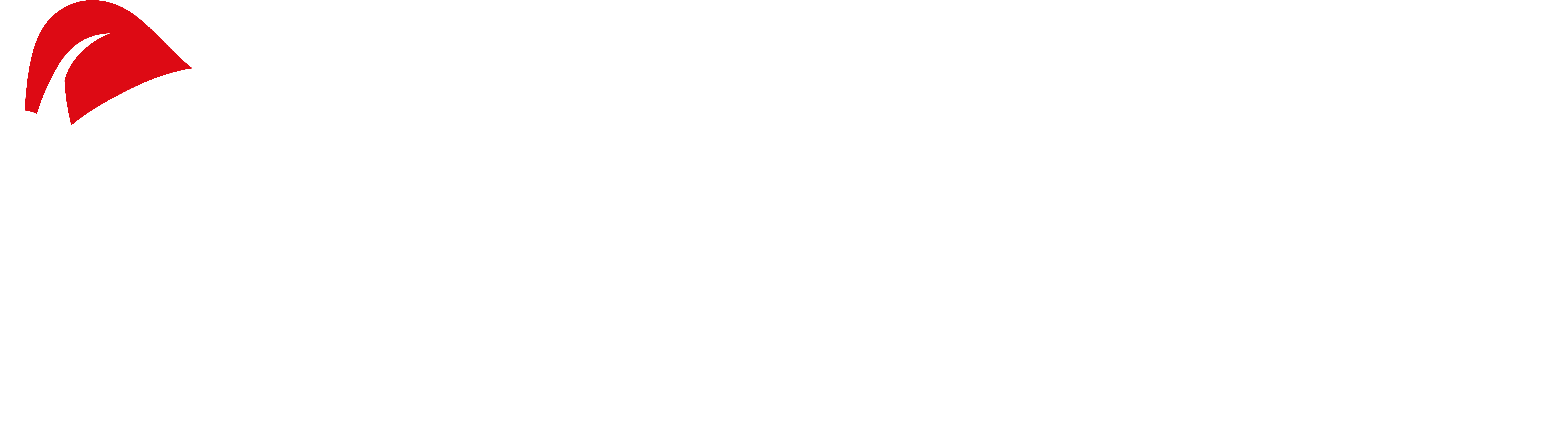 Lacy Locks