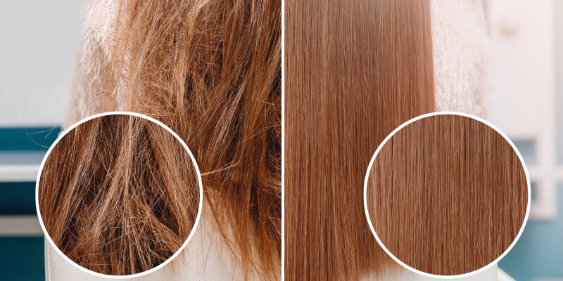 Damaged and healthy hair